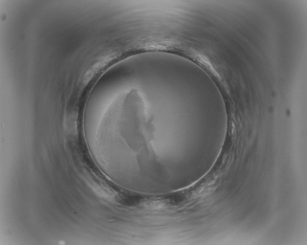 X0000066520299200603201330