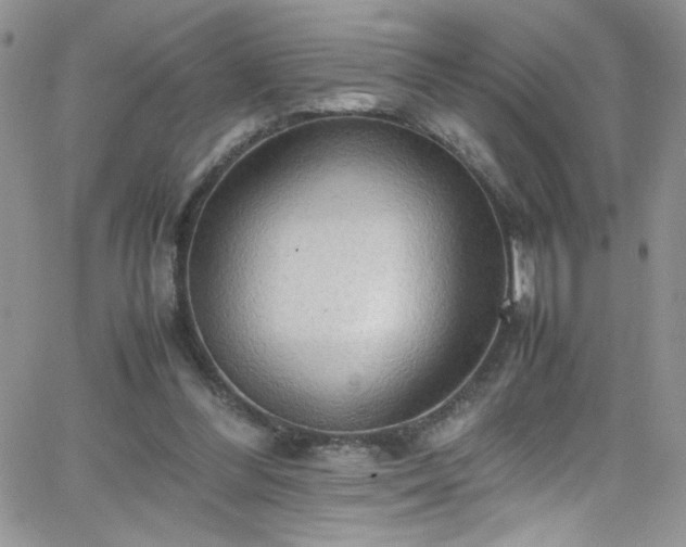 X0000066520300200603201330