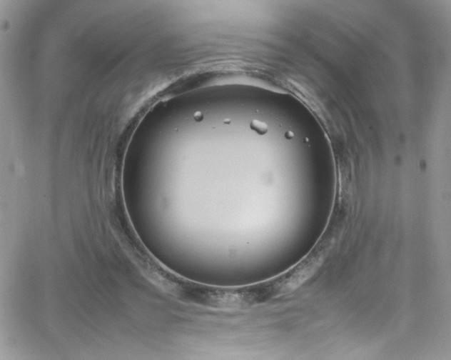 X0000066520301200603201330