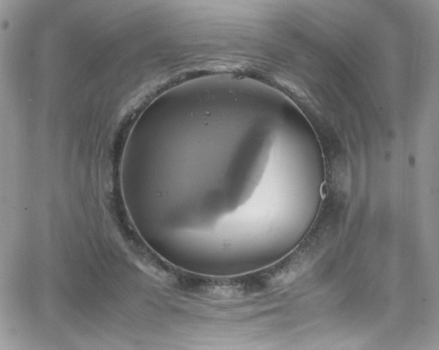 X0000066520303200603201330