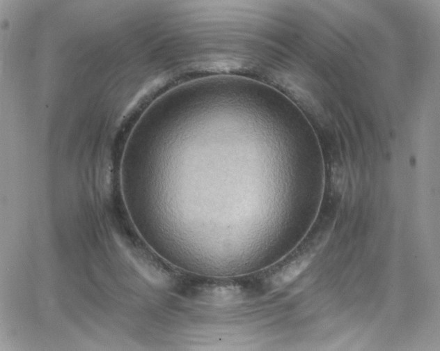 X0000066520304200603201330