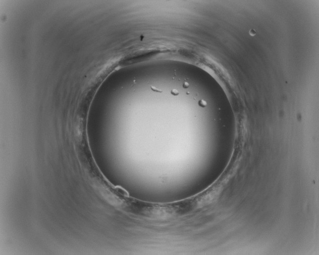 X0000066520305200603201330