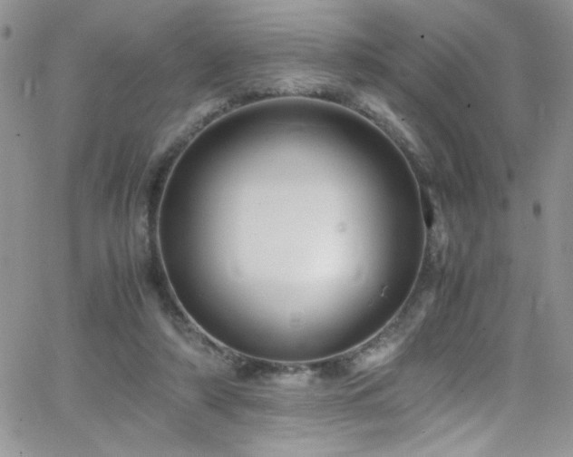 X0000066520306200603201330