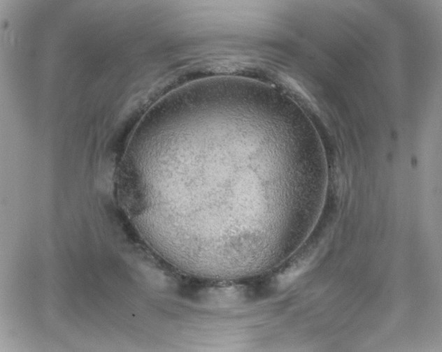 X0000066520307200603201330