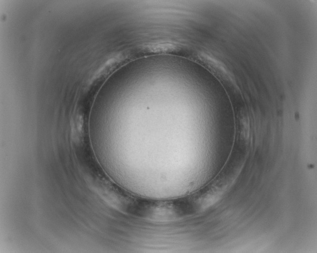 X0000066520308200603201330