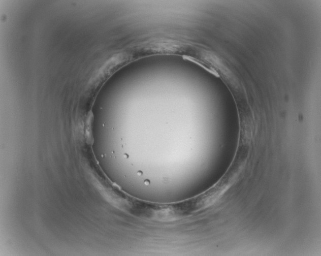 X0000066520309200603201330