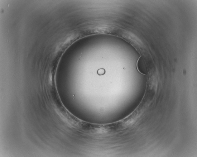 X0000066520310200603201330