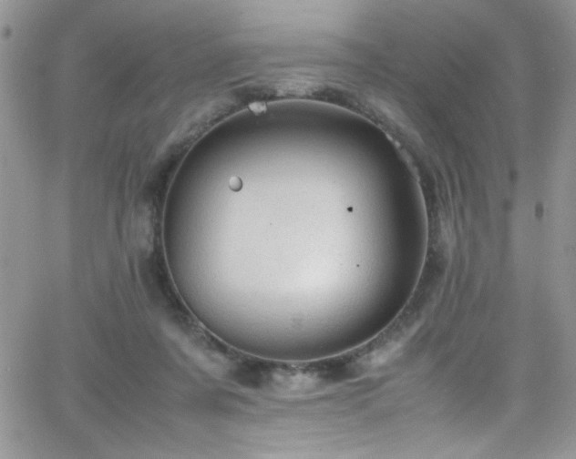 X0000066520311200603201330