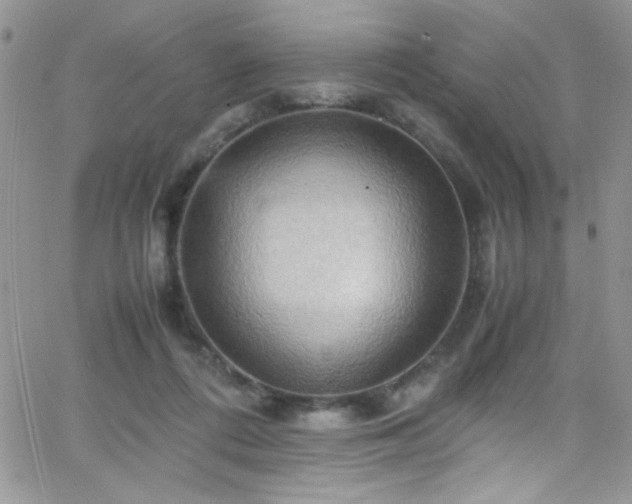 X0000066520312200603201330