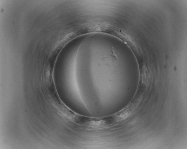 X0000066520314200603201330