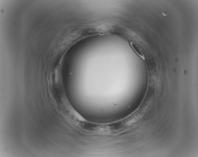 X0000066520317200603201330