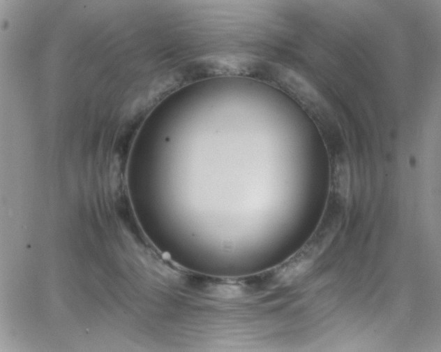 X0000066520318200603201330