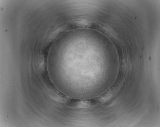 X0000066520320200603201330