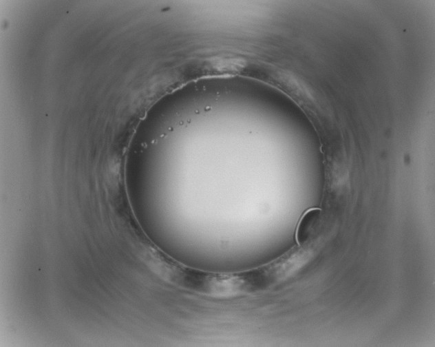 X0000066520321200603201330