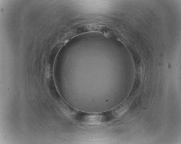 X0000066520323200603201330