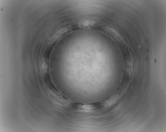 X0000066520324200603201330