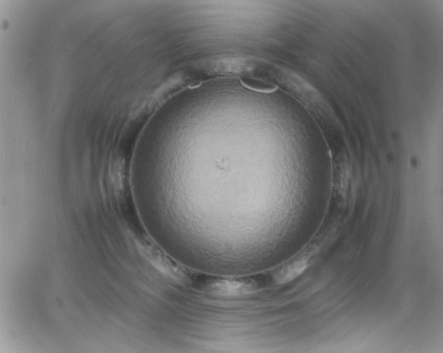 X0000066520326200603201330