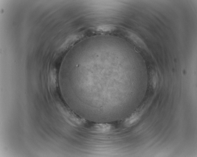 X0000066520328200603201330