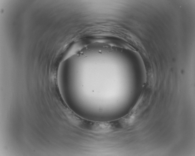 X0000066520329200603201330