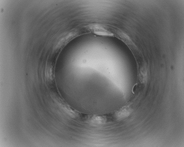 X0000066520330200603201330