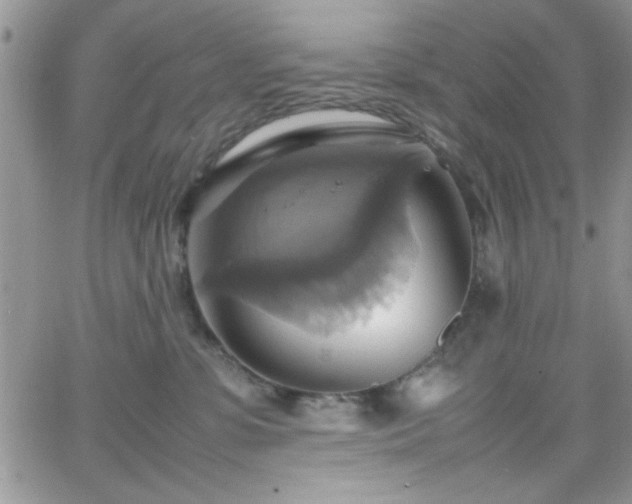 X0000066520331200603201330