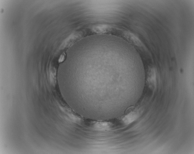 X0000066520332200603201330