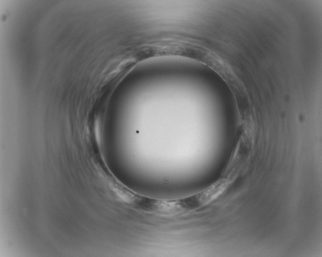 X0000066520333200603201330