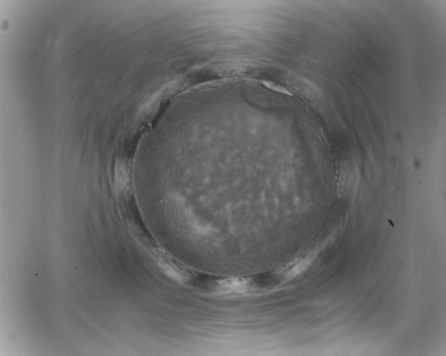 X0000066520335200603201330