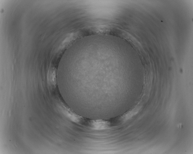 X0000066520336200603201330