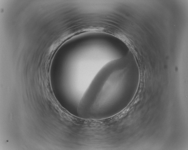 X0000066520337200603201329