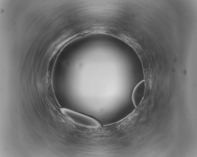 X0000066520338200603201329