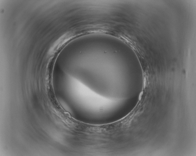 X0000066520339200603201329