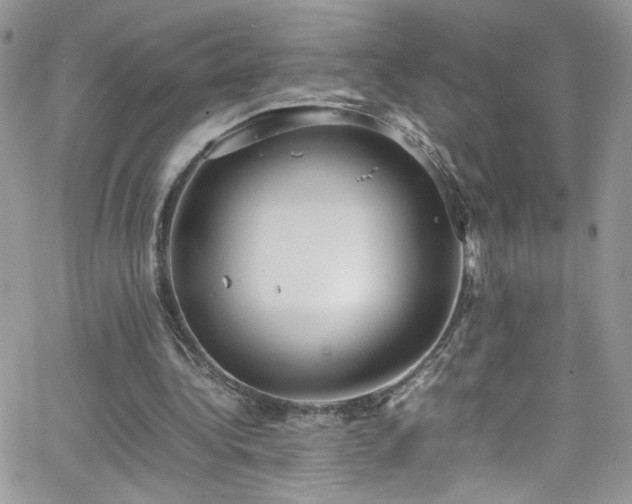 X0000066520340200603201329