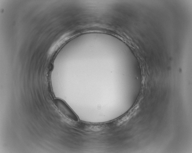 X0000066520341200603201329