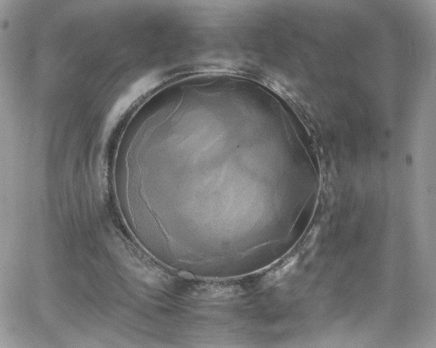 X0000066520343200603201329