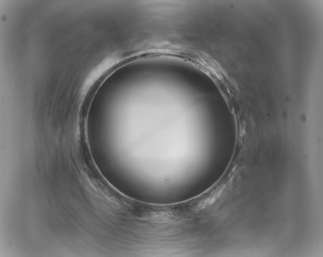 X0000066520344200603201329