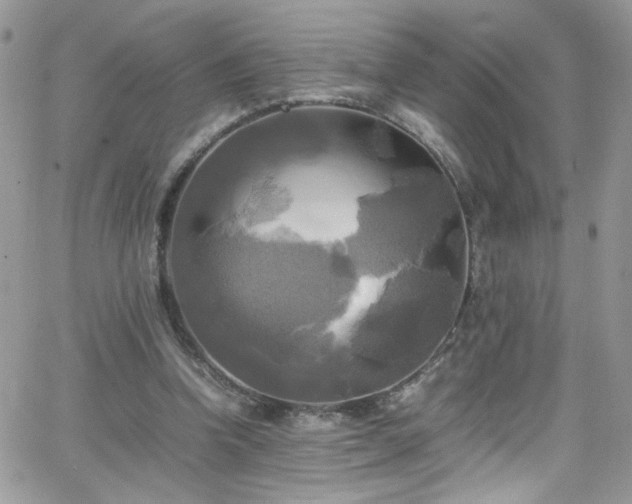 X0000066520346200603201329