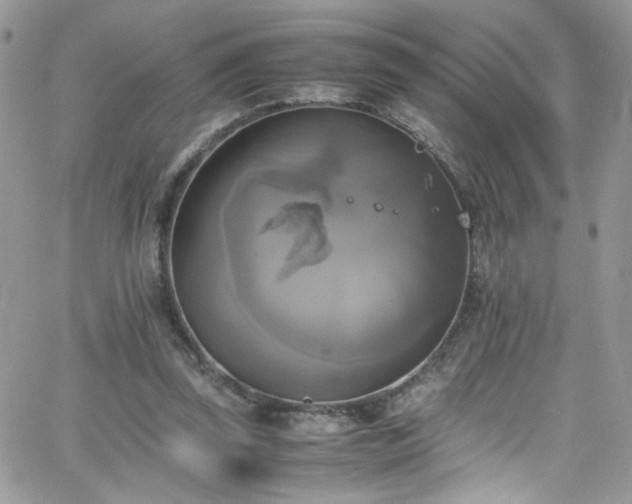 X0000066520347200603201329