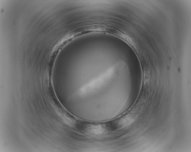 X0000066520349200603201329