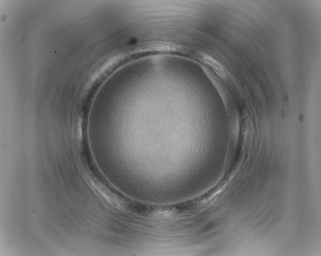 X0000066520350200603201329