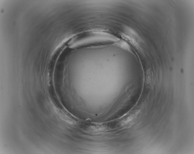 X0000066520351200603201329