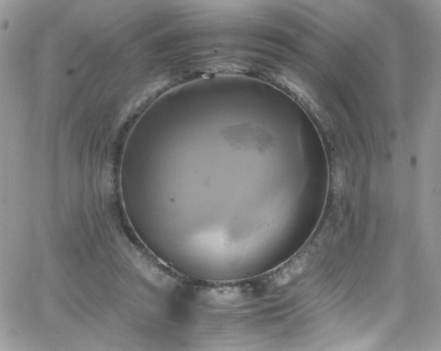 X0000066520353200603201329