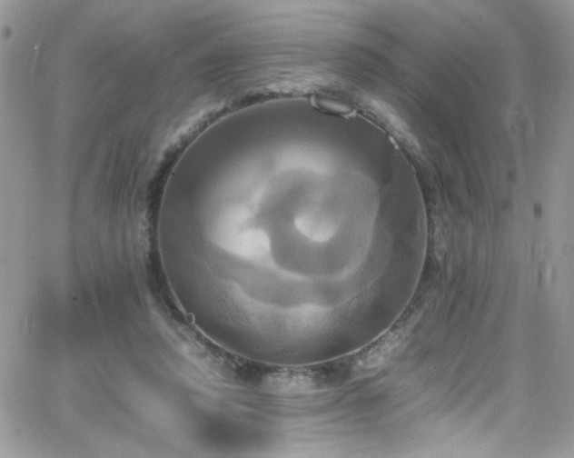 X0000066520354200603201329