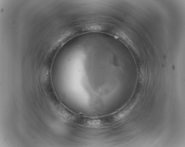 X0000066520355200603201329