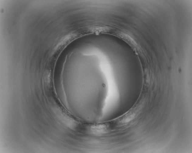 X0000066520357200603201329