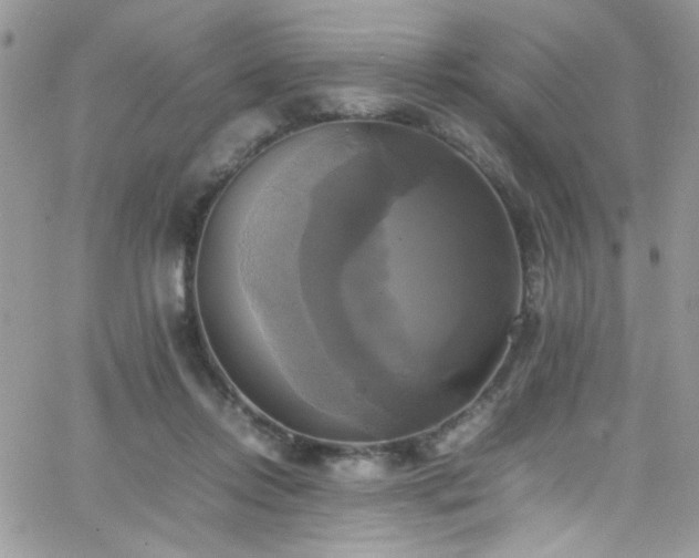 X0000066520358200603201329