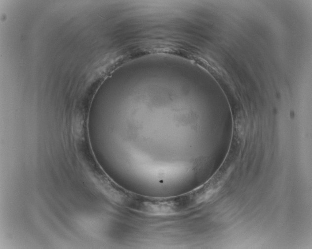 X0000066520359200603201329