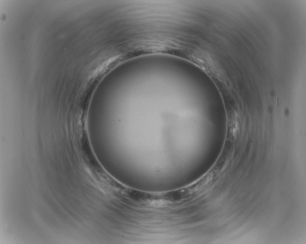 X0000066520360200603201329