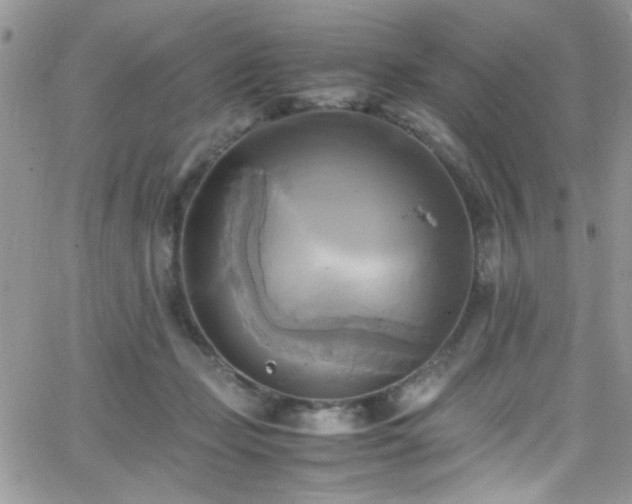 X0000066520365200603201329