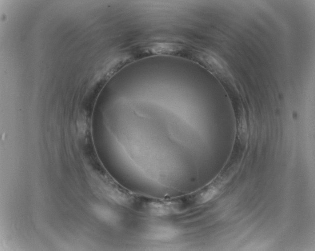 X0000066520367200603201329